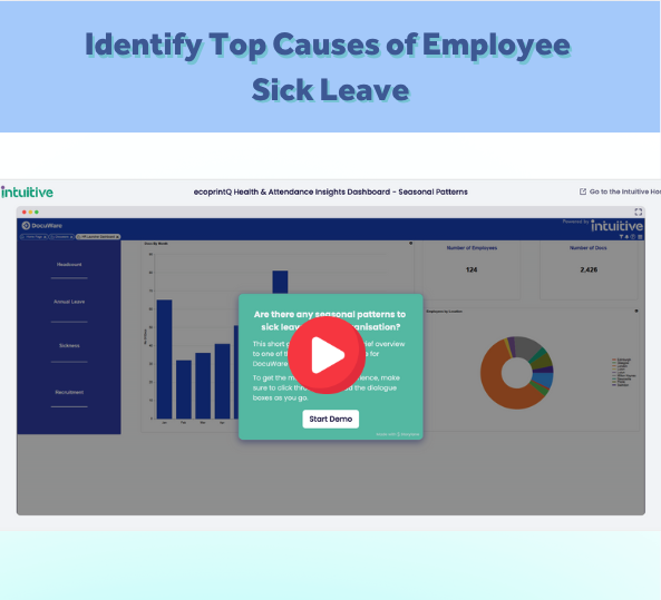 What are the key illness categories for your organisation?